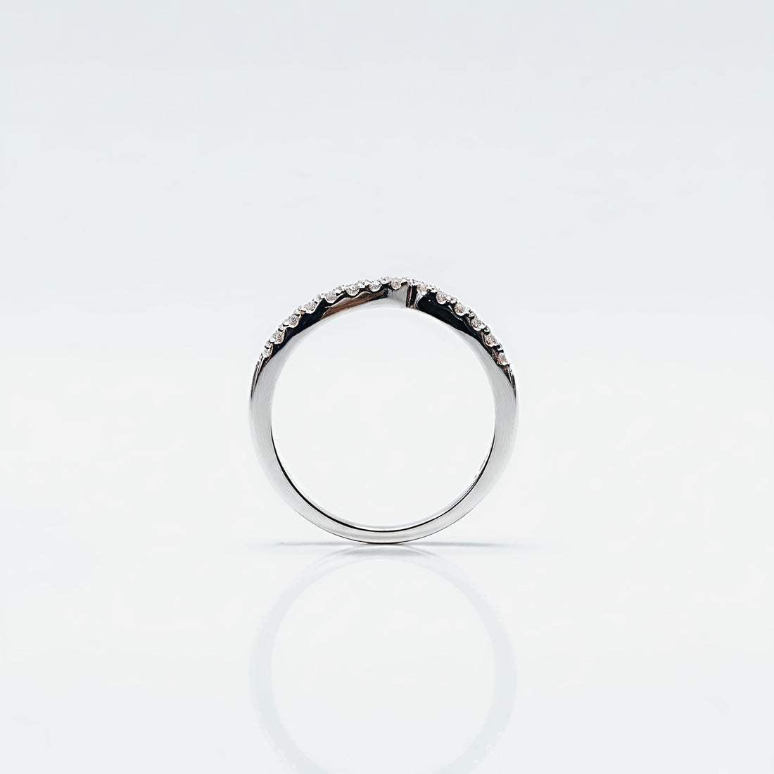 β¨ Celeste Curve Band β¨